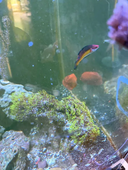Michael's NYAquatic Picture 8