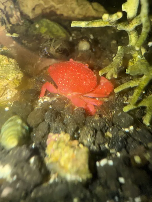 Michael's NYAquatic Picture 5