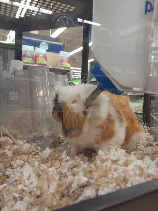 Petco Picture 3