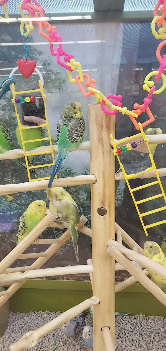 Petco Picture 8