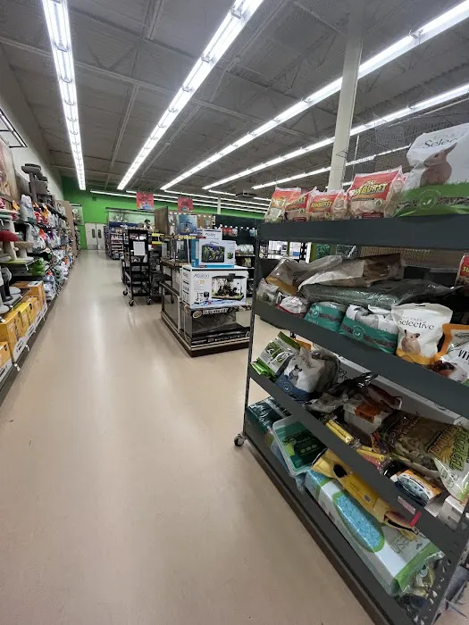 Petco Picture 1