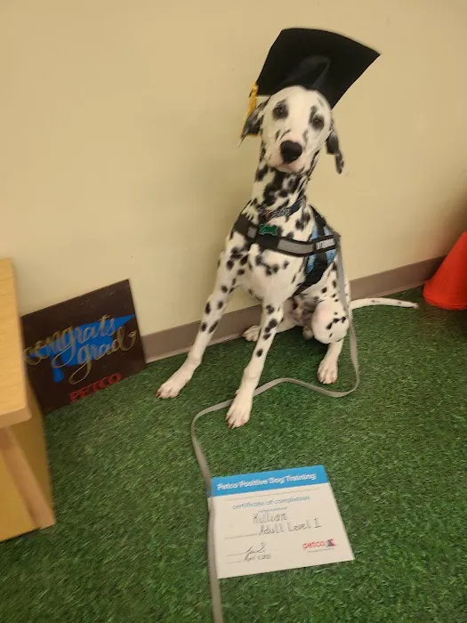 Petco Picture 7