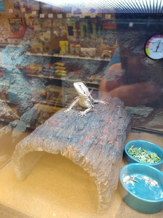 Petco Picture 10