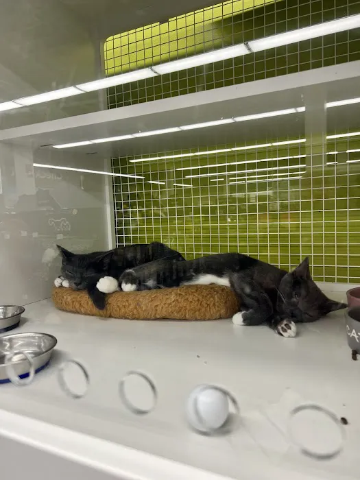 Vetco Total Care Animal Hospital Picture 1