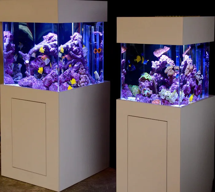 Reef Bar Aquarium Services Picture 10