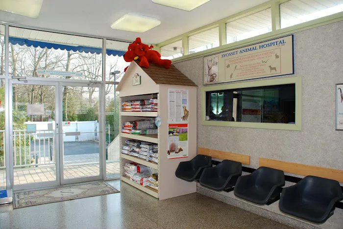 Syosset Animal Hospital Picture 10