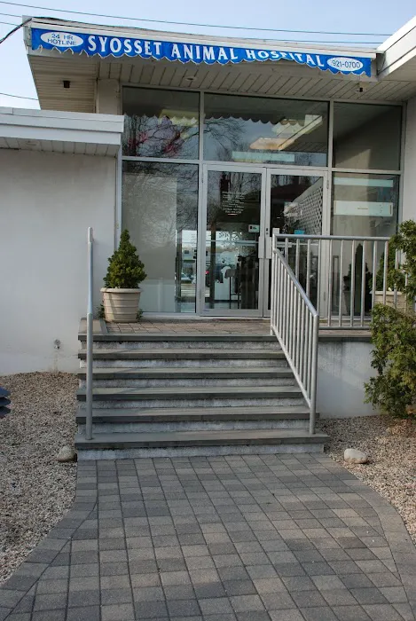 Syosset Animal Hospital Picture 7