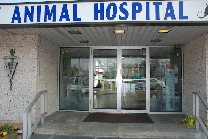 Syosset Animal Hospital Picture 8