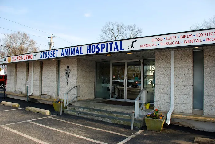 Syosset Animal Hospital Picture 9