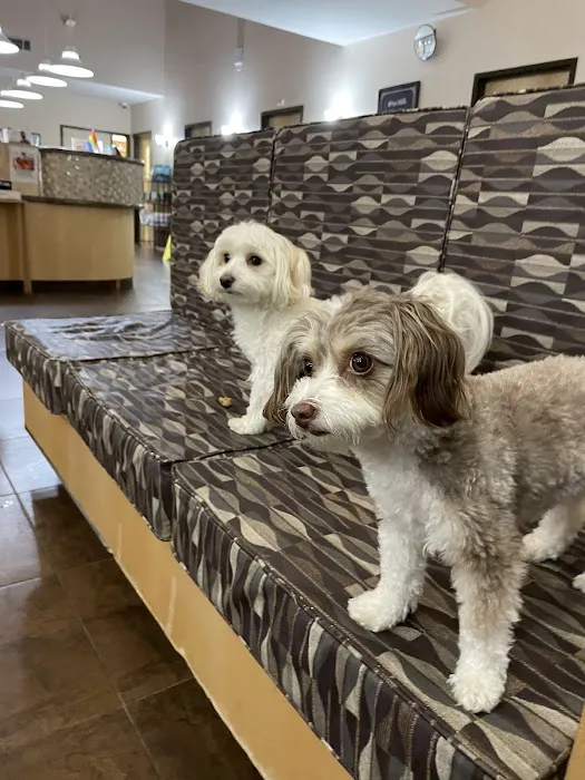 West Hills Animal Hospital & Emergency Center Picture 7