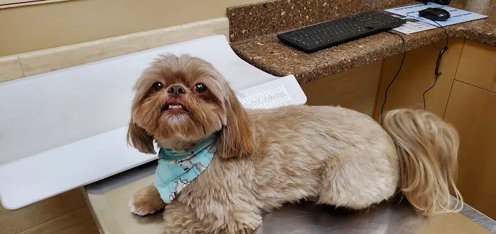 West Hills Animal Hospital & Emergency Center Picture 2