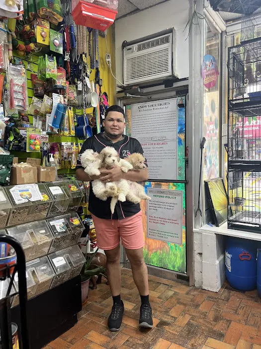 Pet Shop Red Canary Picture 5