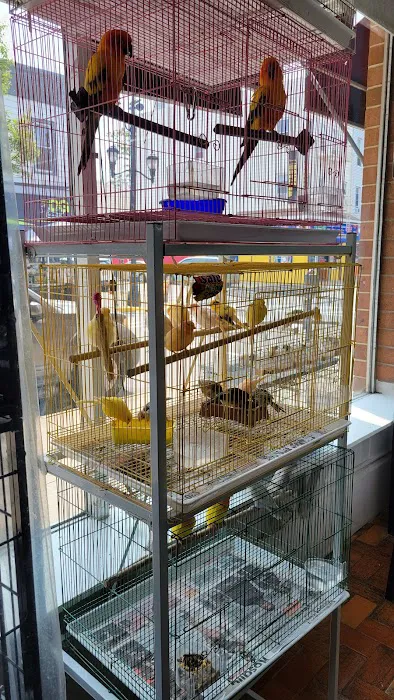 Pet Shop Red Canary Picture 9