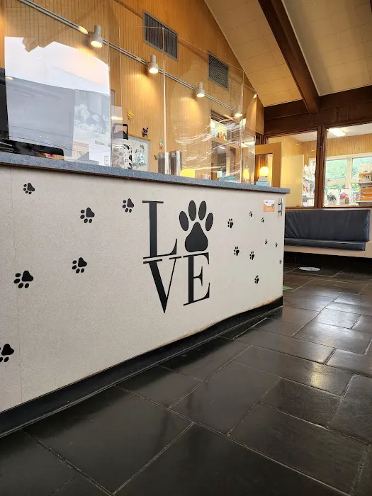 VCA East Meadow Animal Hospital Picture 7