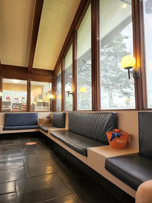 VCA East Meadow Animal Hospital Picture 2