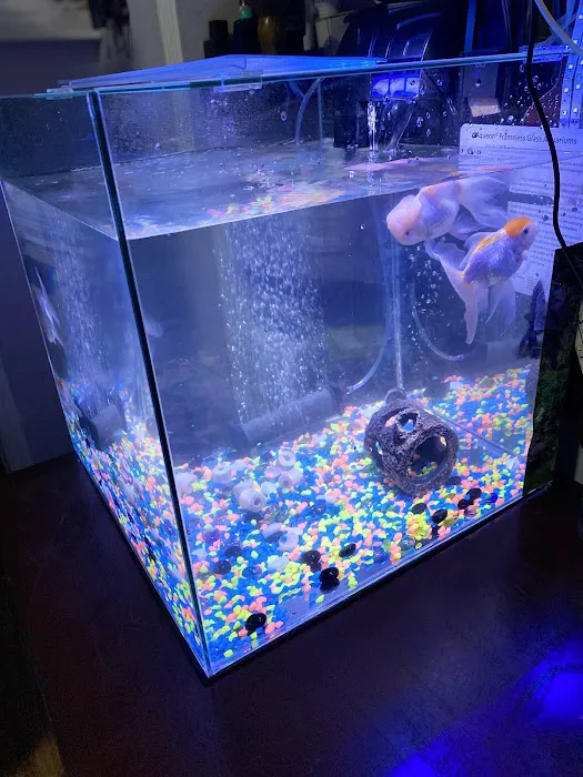 South River Aquarium Picture 2