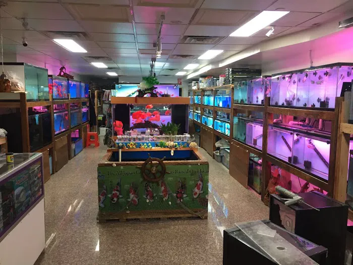 South River Aquarium Picture 6