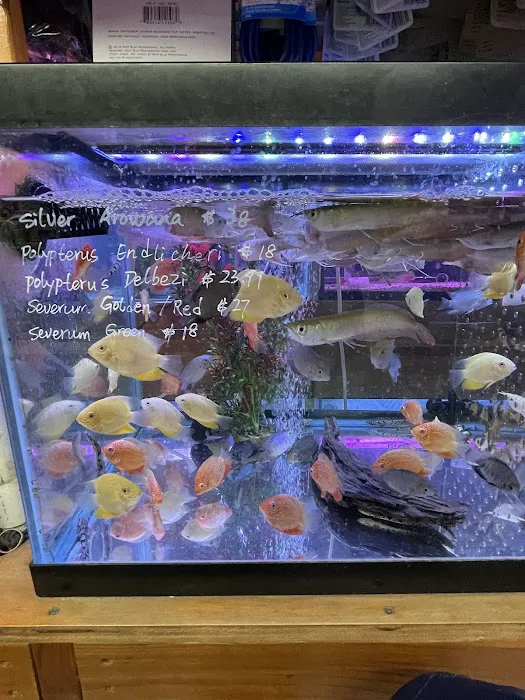 New Lucky Fish Aquarium & Pet Supply Picture 5