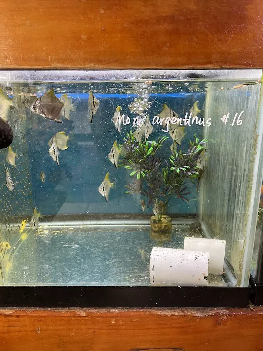 New Lucky Fish Aquarium & Pet Supply Picture 1