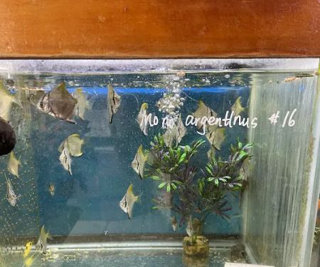 New Lucky Fish Aquarium & Pet Supply