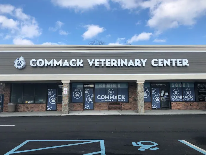 Commack Veterinary Center Picture 7
