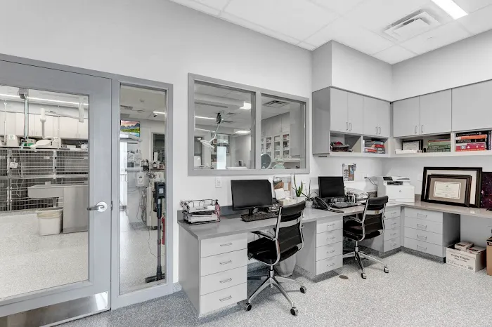 Commack Veterinary Center Picture 2