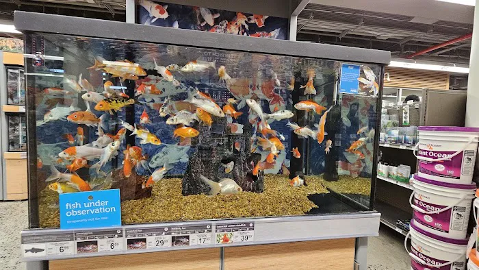 Petco Picture 6