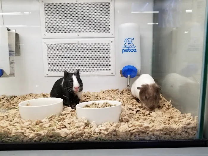 Petco Picture 10