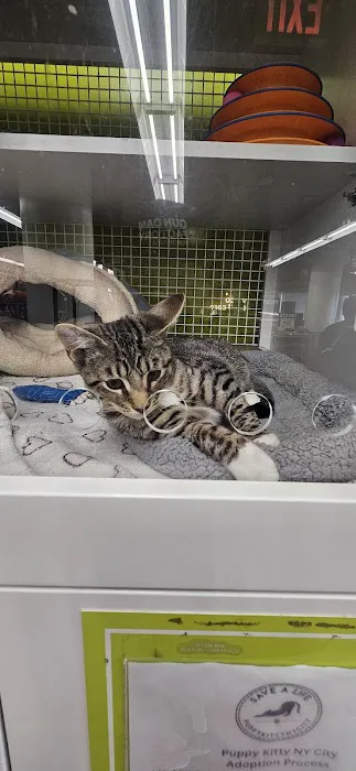 Petco Picture 2