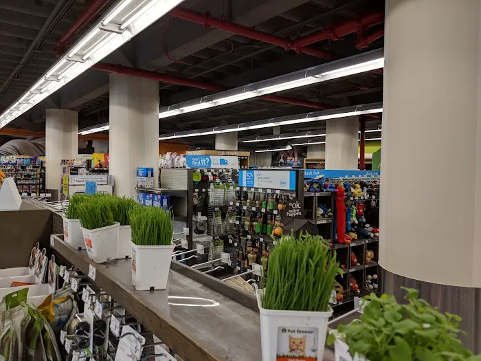 Petco Picture 3