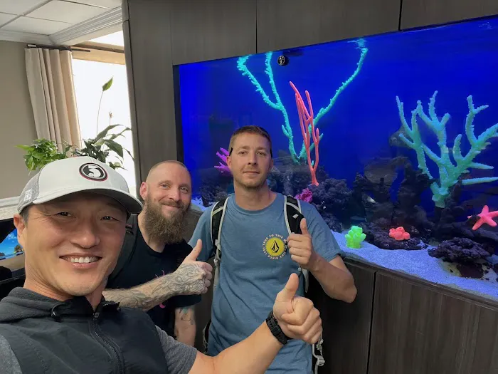 Aqua Spaces - Aquarium Maintenance Picture 7