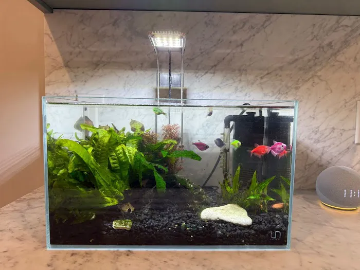 Aqua Spaces - Aquarium Maintenance Picture 2
