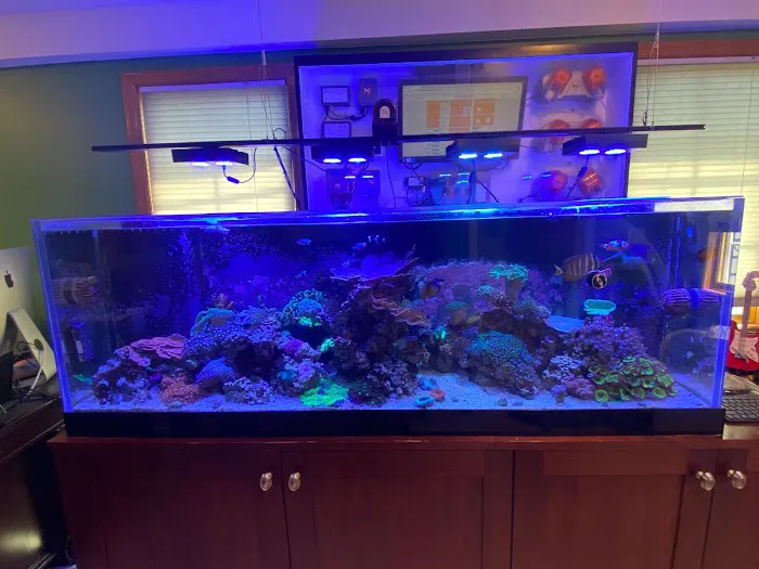 Aqua Spaces - Aquarium Maintenance Picture 5