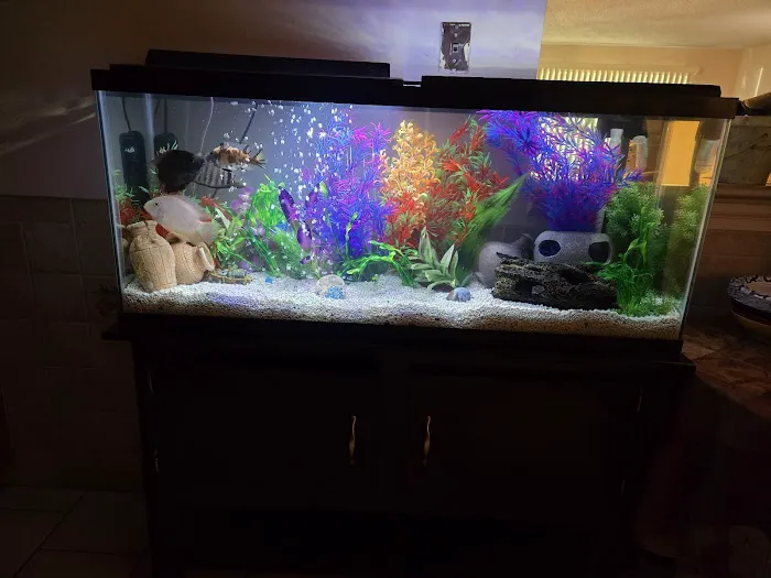 Aqua Spaces - Aquarium Maintenance Picture 3