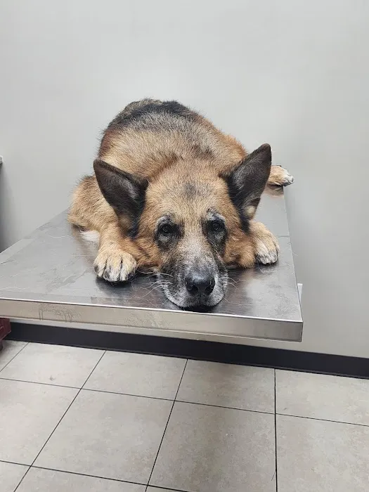 East Meadow Veterinary Center Picture 5