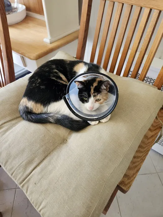 Helping PAW Picture 1