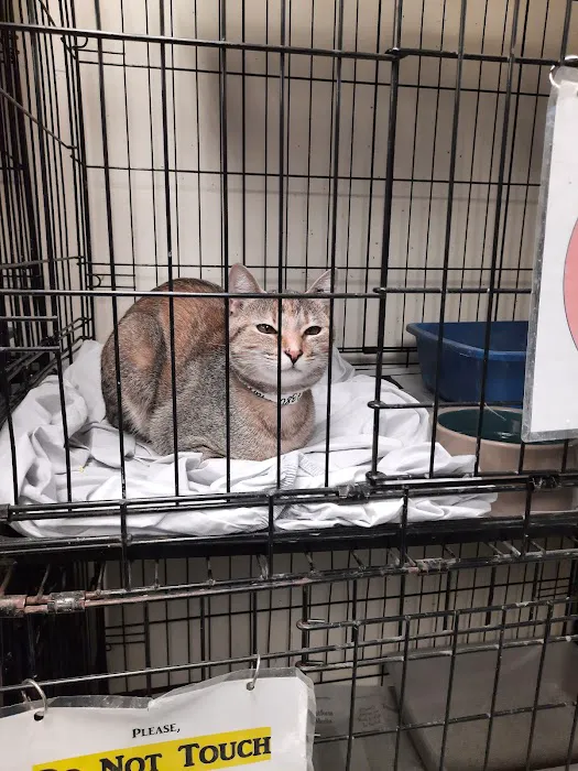 Sean Casey Animal Rescue Picture 1