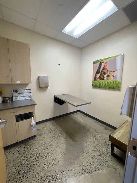 Vetco Total Care Animal Hospital Picture 7