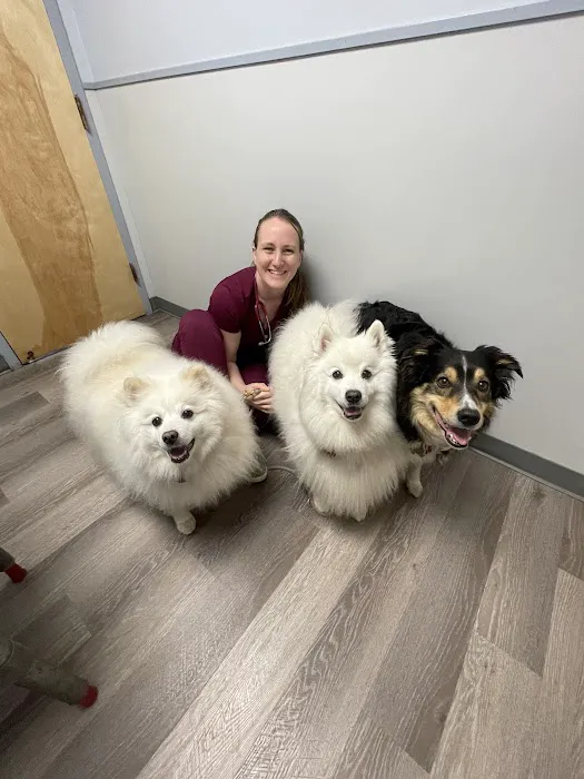 Baldwin Harbor Animal Hospital Picture 5