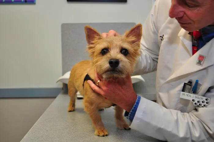 Baldwin Animal Hospital Picture 7