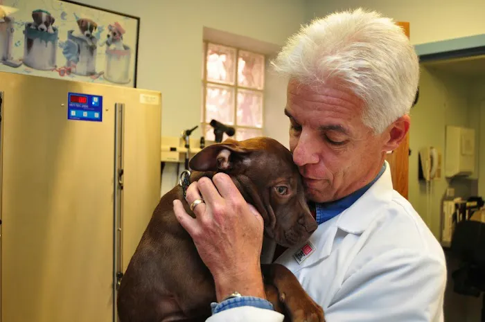 Baldwin Animal Hospital Picture 8