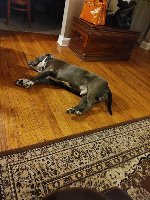 Baldwin Animal Hospital Picture 3