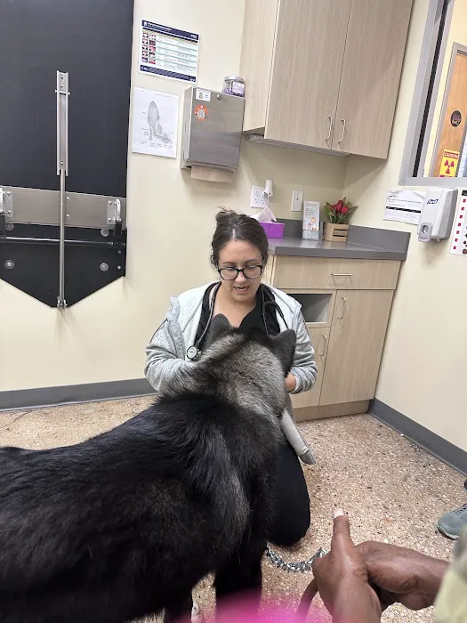 Vetco Total Care Animal Hospital Picture 4