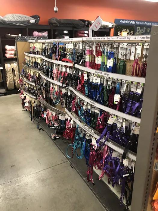 Unleashed by Petco Picture 9