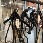 Le Chien Bleu NY pet boutique