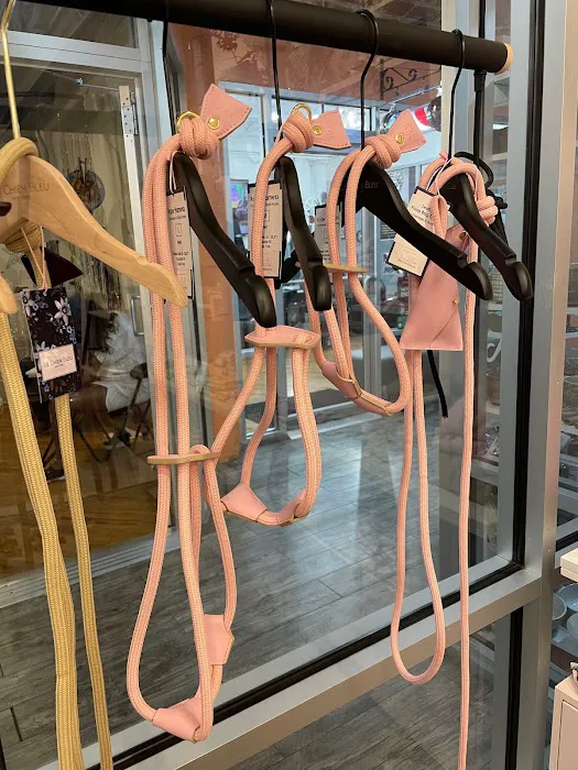 Le Chien Bleu NY pet boutique Picture 5