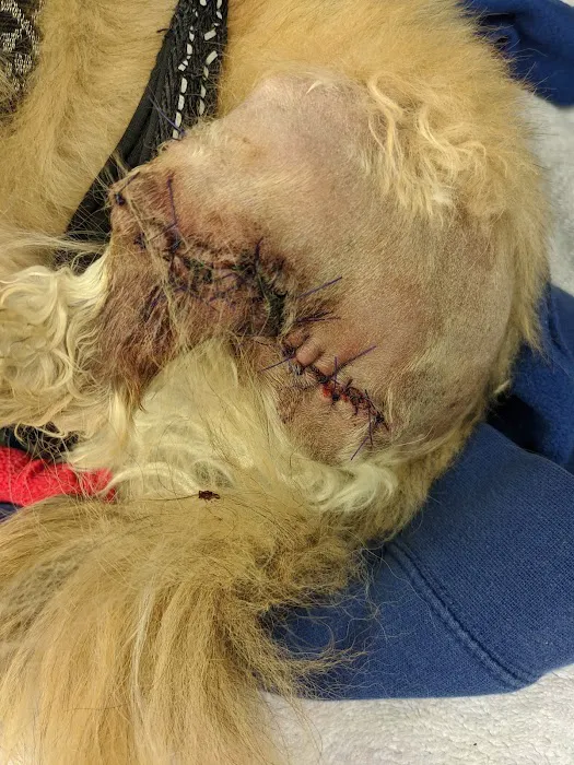 Bay Shore Animal Hospital Picture 10