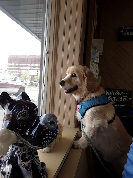 Bay Shore Animal Hospital Picture 7