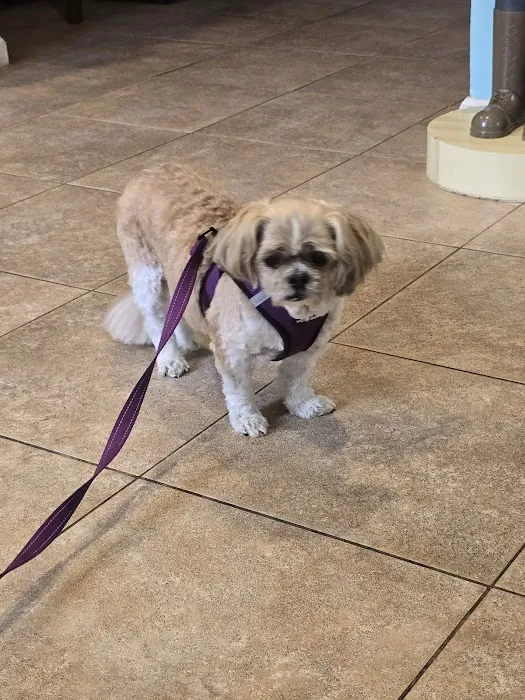 Brentwood-Islip Hospital for Animals Picture 2