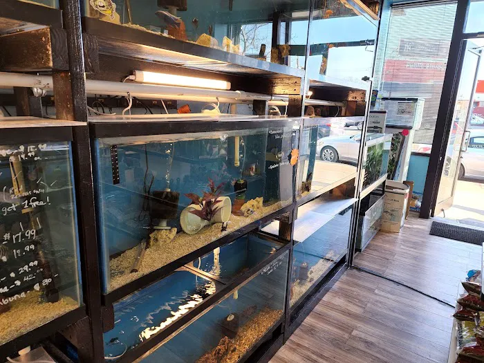 FISH ADDICTS NYC Picture 4